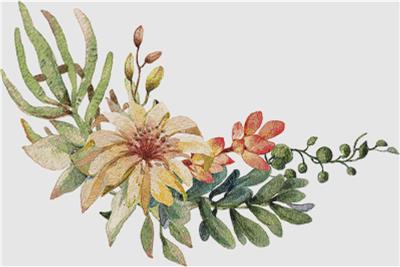 Arrangement of Flowers and Succulents V