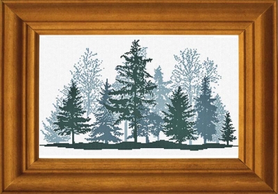 Foresta D'Inverno