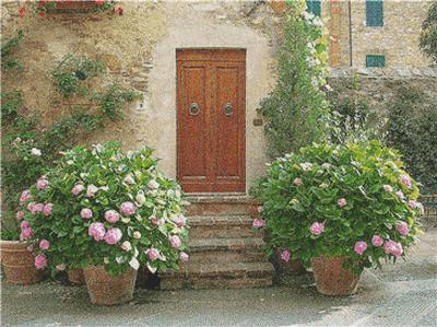 Door with Hydrangeas