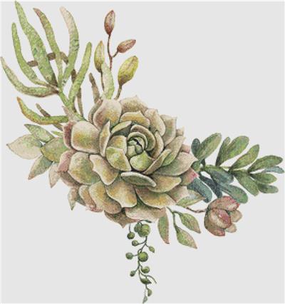 Arrangement of Succulents VII