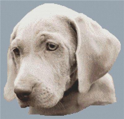 click here to view larger image of Weimaraner Puppy (chart)
