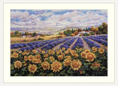 Fields of Lavender and Sunflowers