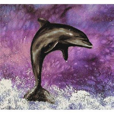 Dolphin - Caroline Lord O'Donovan