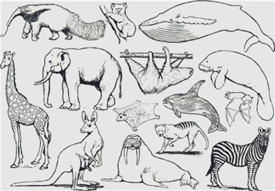 Set of Exotic Animals