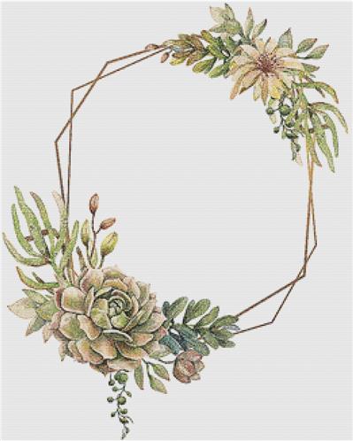 Frame of Succulents