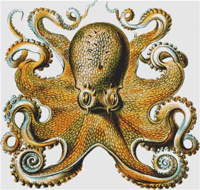 click here to view larger image of Octopus (chart)