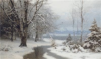 Wooded Winter Landscape, A
