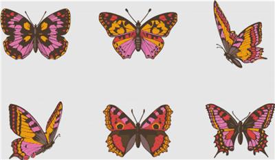 Set of Colourful Butterflies