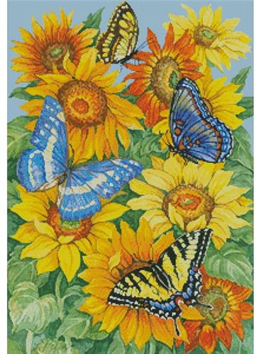 Butterflies on Sunflowers