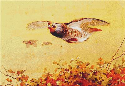 click here to view larger image of English Partridge in Flight (chart)