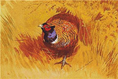 click here to view larger image of Pheasant, A (chart)