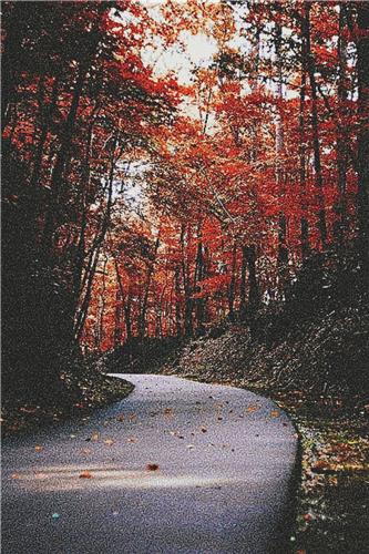 click here to view larger image of Orange Leaves Over a Road (chart)