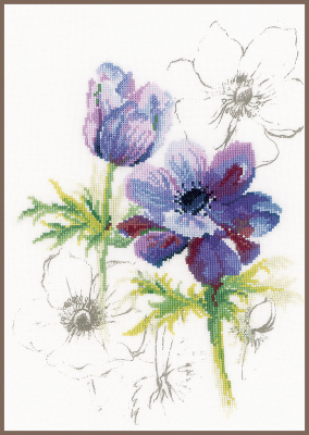 Blue Flowers Anemones