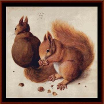 Squirrels - Durer
