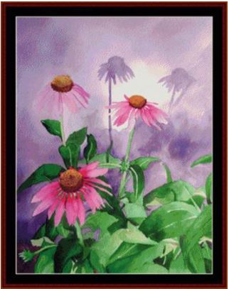 Coneflower - Floral