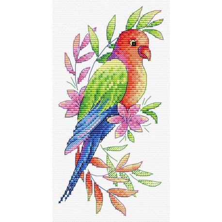 Parrot, A