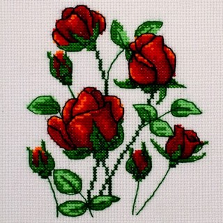 Roses- 0219