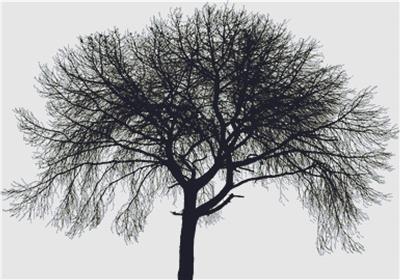 Tree Silhouette II