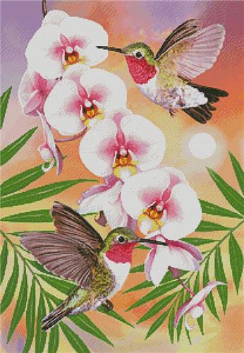 click here to view larger image of Annas Hummingbirds with Phalaenopsis (chart)