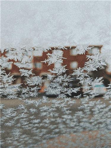 Snowflakes on the Window