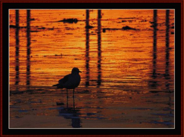 Bird at Sunset 