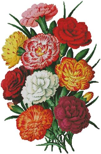 click here to view larger image of Carnations 3 (chart)