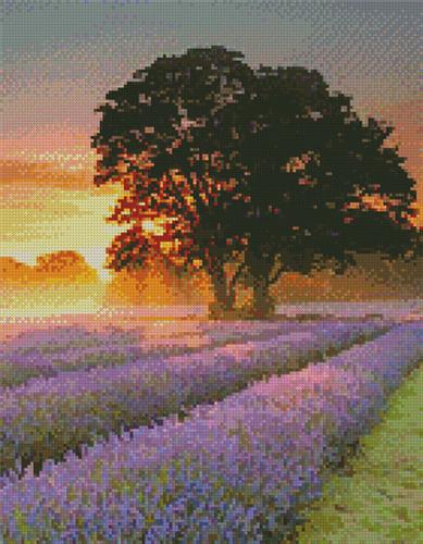 click here to view larger image of Mayfair Lavender at Sunrise (Crop)  (chart)