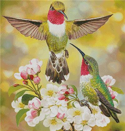 Hummingbird Challenger