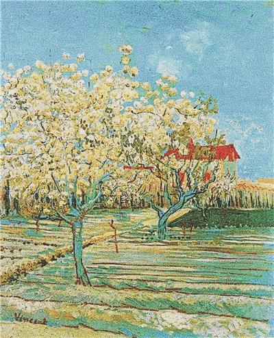 Orchard with Pear Trees in Blossom