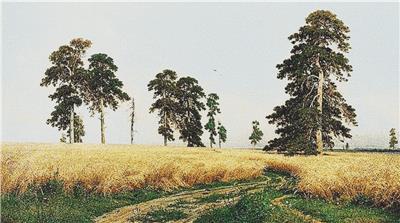 Rye Field, A