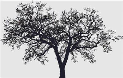Tree Silhouette III