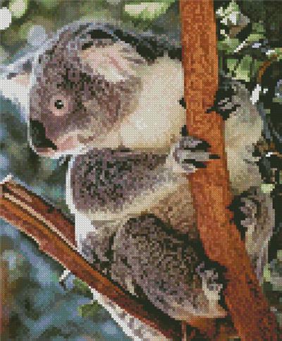 click here to view larger image of Koala Photo (mini) (chart)