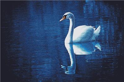 click here to view larger image of Reflection of the Swan (chart)