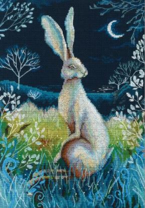 Hare By Night 