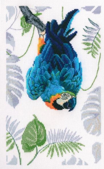 Macaw 