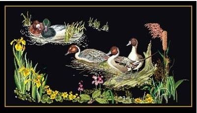 Ducks in the Marsh - Black Aida