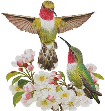 Hummingbird Challenger (No Background)