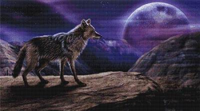 Lone Coyote, The