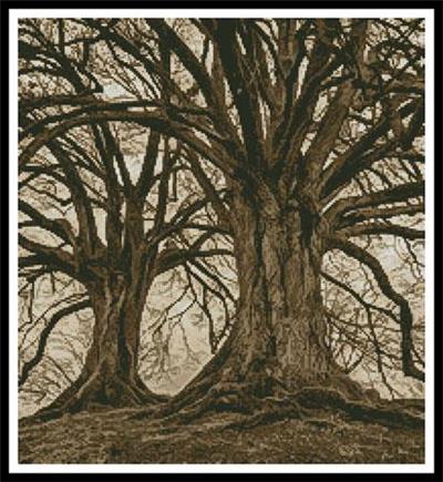 Branching Out - Sepia (Crop)
