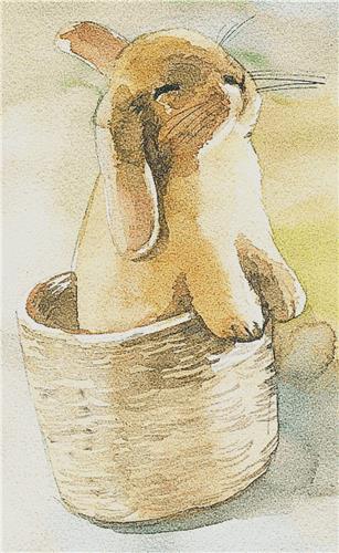 Bunny in a Basket