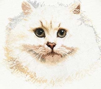 click here to view larger image of White Persian Cat (counted cross stitch kit)