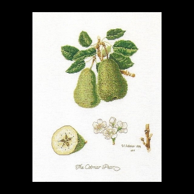 click here to view larger image of Pears  (counted cross stitch kit)