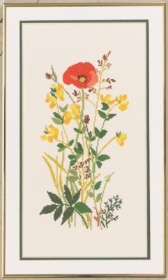 Field Flower