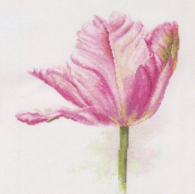 Tulips - Light Pink