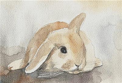 Watercolour Bunny