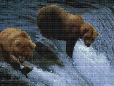 Bears Fishing