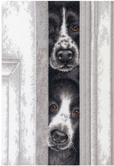Peeking Pups