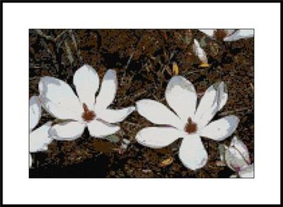 Magnolias Digital Painting