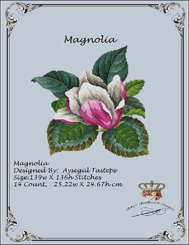 Antique Magnolia - A