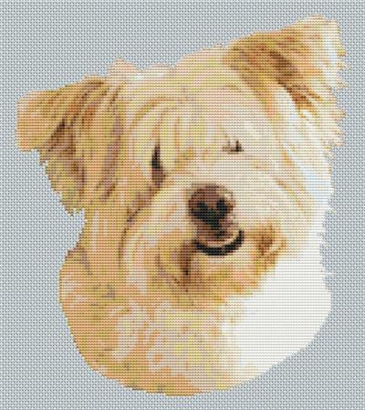 click here to view larger image of Wheaten Glen of Imaal Terrier (chart)